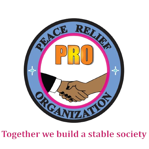 Peace Relief Organization - NGO Website